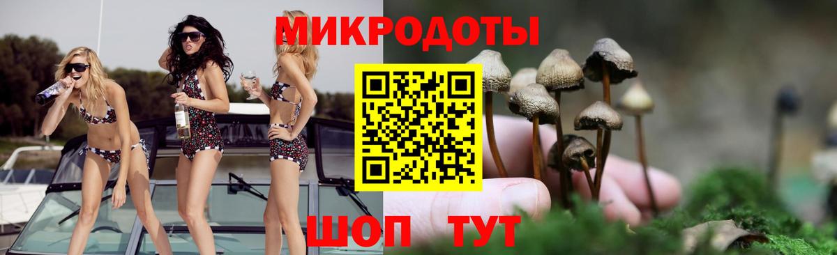 Галлюциногенные грибы прущие грибы Нерюнгри